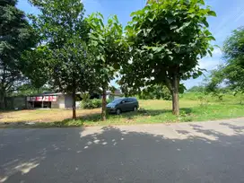 Jual Cepat Tanah Puspitek Pagedangan dekat Fasilitas BSD CITY