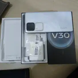 VIVO V30 5G 8/256