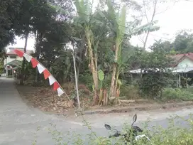 Di Jual Tanah Pekarangan di Mriyan Timur seyegan