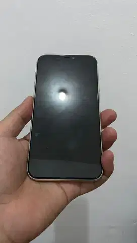 Iphone 11 64gb ex ibox
