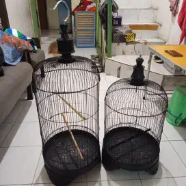 Sangkar Kapsul Lovebird sesuai foto