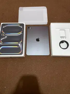 ipad Pro M4 11 inch 256 Mulus Like New