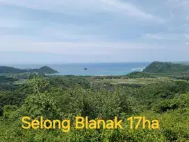 Jual SHM/TP Selong Belanak 17 ha & Dopang Gunungsari 7 ha, nego.