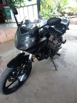 Minerva sport bisa tt