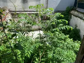 Dijual Rumah Hitung tanah di Jalan Ahmad Yani Garut