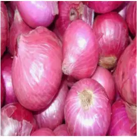 Bawang merah langsung dari petani  bumbu memasak harga per 1 kg
