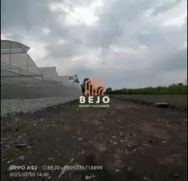 Dijual Tanah Pekarangan Istimewa Dekat Stadion Maguwoharjo & Jogja Bay
