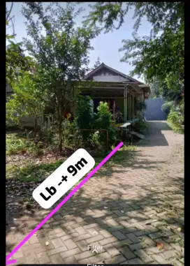 TANAH SUPER MURAH