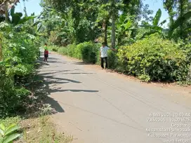 Jual tanah sangat subur di purworejo
