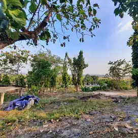 Dicari tenaga staff produksi (PRIA), untuk pengolahan kayu di Ngimbang