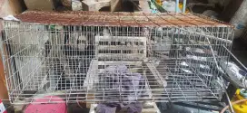Borongan 2 kandang besi buat ayam atau kucing