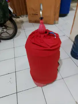 Burung kenari cerah gacor