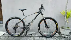 Polygon Xtrada 6 Limited Edition