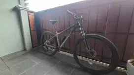 Polygon XTRADA 7 seri 2025