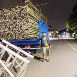 Jual bambu steger