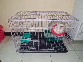 Kandang kucing ukuran 75x45cm