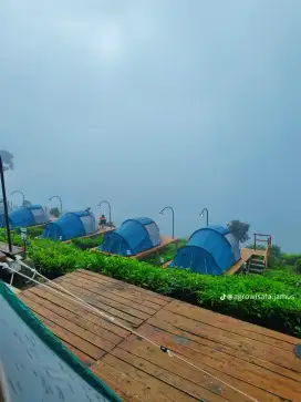 cari lowongan kerja