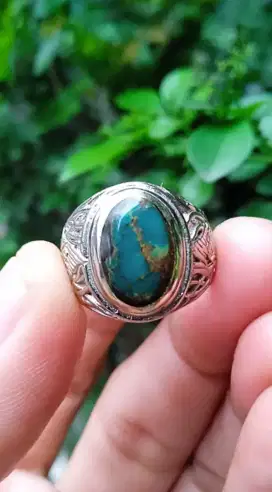 PIRUS MINI PORSLEN GRADASI URAT MAS