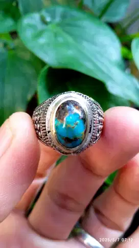 PIRUS MINI URAT MAS SAKRAL