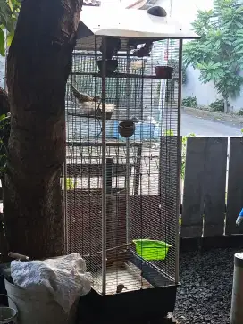 Dijual kandang burung ada atapnya. Ukuran besar. Bonus 2 burung puter.