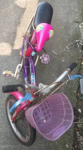 Sepeda Anak Perempuan JUAL SEGERA