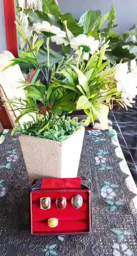 Koleksi pribadi dijual borongan