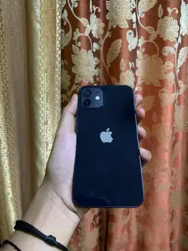 Iphone 12 interr