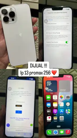 Iphone 13 promax 256 beacukai