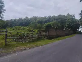 Murah Zona Industri di Karanganyar Jawa Tengah
