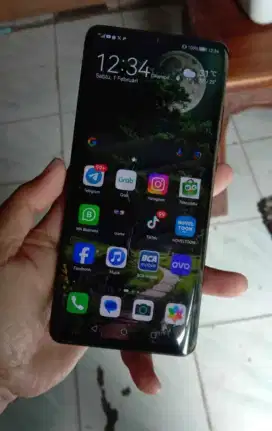 Huawei p30 pro Dual sim inter