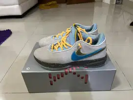 Nike Lebron XX EP Size 41