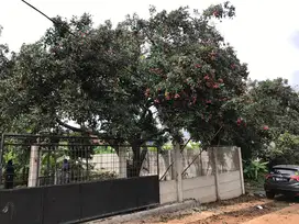 Jual tanah di jatisampurna, bekasi kota