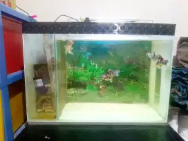 Aquarium 60 x 30