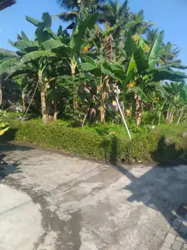 Dijual tanah luas 602 m² di kota purworejo