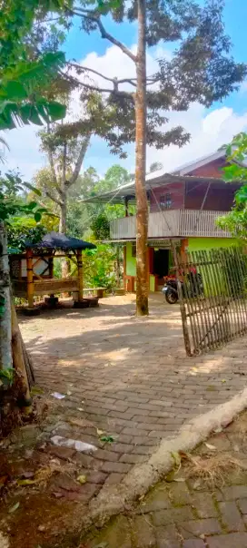 Kebun Duren dan rumah dekat G Bromo