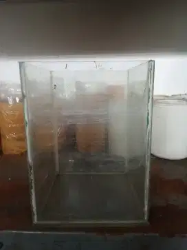 Soliter kaca ikan cupang