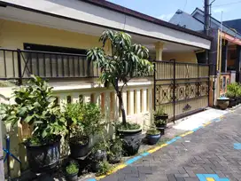 Dijual rumah dekat ayam lintang sawojajar