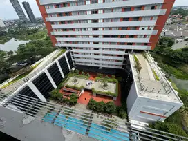 Dijual Rugi Apartemen Paddington Heights, Alam Sutera