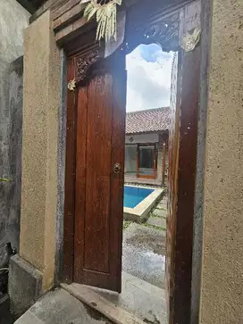 villa for rent brand new in padonan canggu