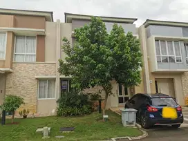 Dijual Cepat Rumah Di Tesla scientia Gading Serpong