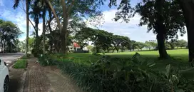 Tanah Di Raya Bukit Golf MURAH, Harga di Bawah Pasar