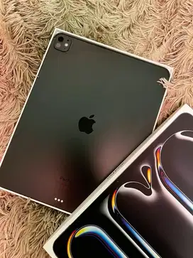 Ipad pro M4 256/512