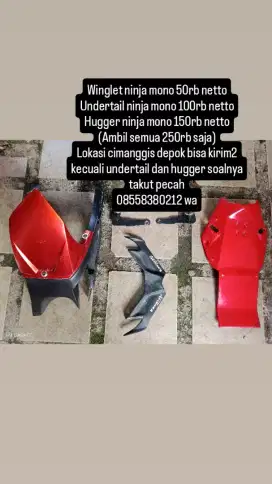 Aksesoris ninja 250 mono sl