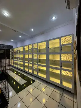 Pet hotel penitipan kucing