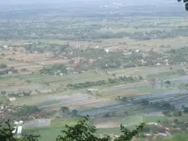 Tanah Pekarangan View Merapi