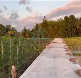 for sale Premium land for sale at Kedungu Beach, Tabanan, Bali.