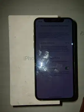 iPhone x 256 GB