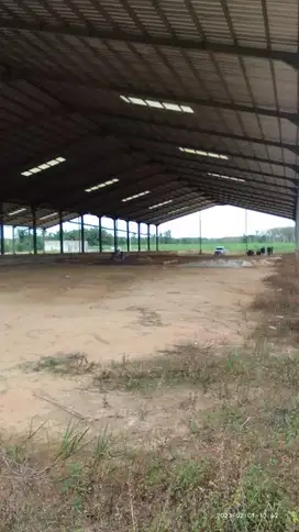 Pabrik Tapioka 9,8 Ha Tulang bawang Lampung Murah