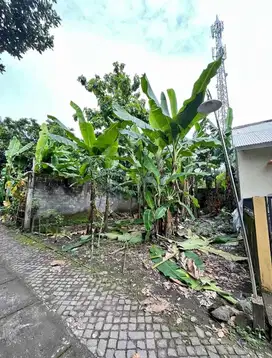 Dijual Cepat Tanah Dekat Kelurahan Tlogoadi, SHM Pekarangan