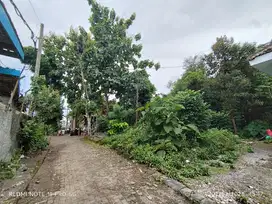 JUAL CEPAT PEKARANGAN MURAH PALAGAN JOGJA NEMPEL JL.ASPAL